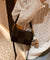 編み込みデザイン ショルダーバッグdsb0023-101-17
